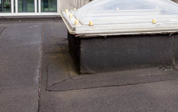 disadvantages of Betws Ifan flat roofs